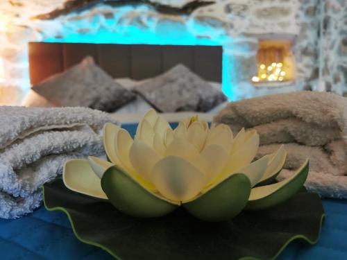 talerz z kwiatem na stole z ręcznikami w obiekcie Cozy Stonehouse in Κissamos w mieście Kerá