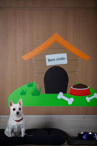 a cat is sitting in front of a dog house at Novotel RJ Praia de Botafogo in Rio de Janeiro