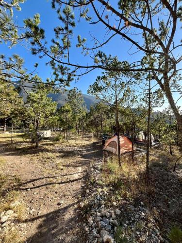 a tent in the middle of a field with trees at Camping en la Sierra de Arteaga in Los Lirios
