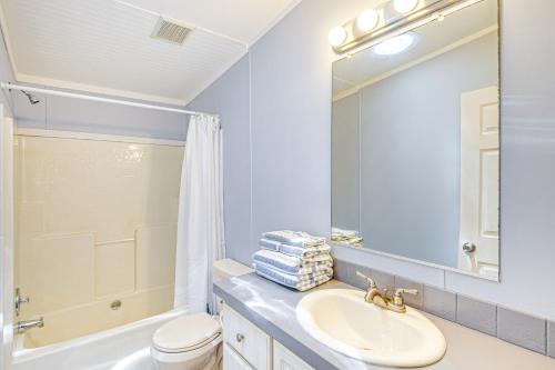 La salle de bains est pourvue d'un lavabo, de toilettes et d'un miroir. dans l'établissement Northeast Florida Home with Pond Views and Fire Pit!, à Georgetown