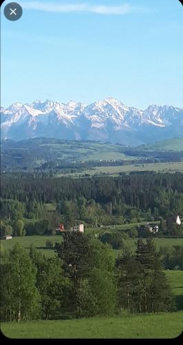 a green field with snow capped mountains in the distance at Willa Gorce in Ostrowsko