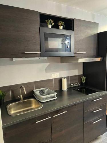 une cuisine avec un évier et un micro-ondes dans l'établissement La Perle Citadine, à Bordeaux
