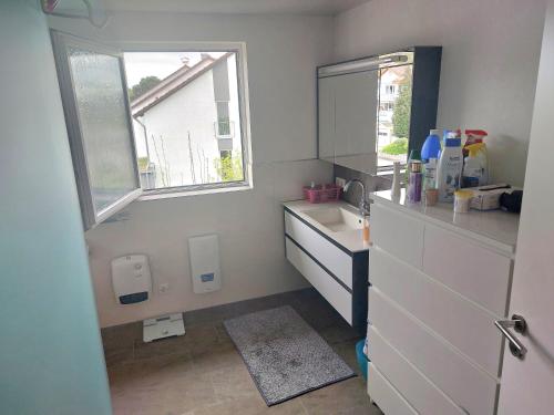 a small bathroom with a sink and a window at Feel comfortable in Vaihingen an der Enz