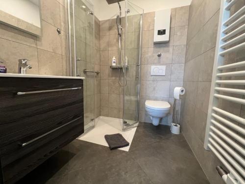a bathroom with a shower and a toilet at Pension zum goldenen Anker in Wittenberge