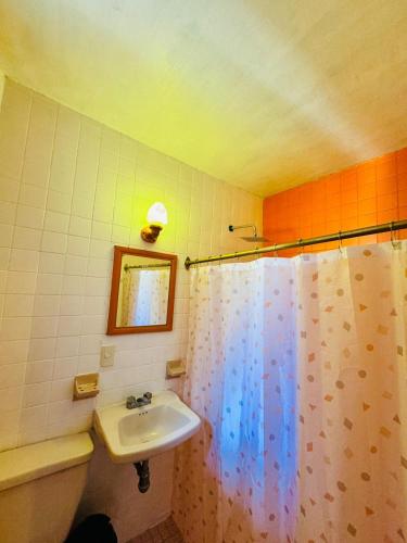 La salle de bains est pourvue d'un lavabo et d'un rideau de douche. dans l'établissement Hotel Diamantes, à Orizaba