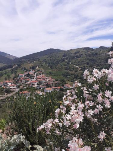 a view of a town in a valley with pink flowers at Casa das Leiras in Loivos da Ribeira