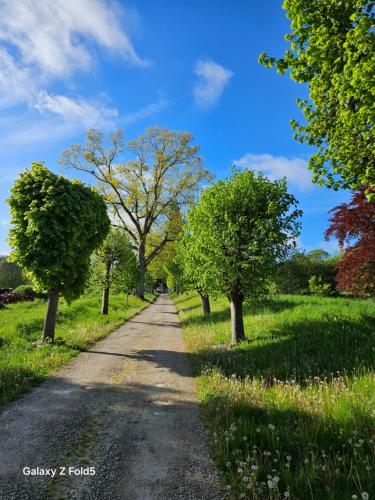 un chemin de terre avec des arbres de chaque côté dans l'établissement Appartement GIVERNY, à Hargeville