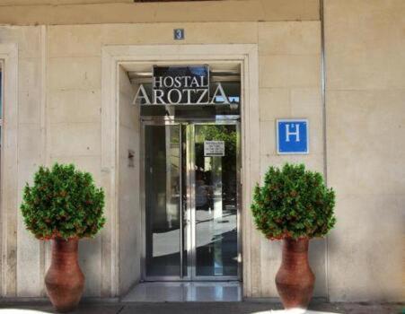 two potted plants in front of a hospital entrance at Hostal Arotza in Tafalla