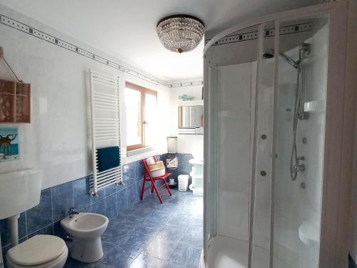 a bathroom with a shower and a toilet at B&B La Risorgiva in Fivizzano