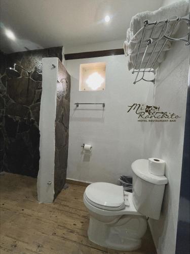 a bathroom with a toilet and a rock wall at Mi Ranchito Chignahuapan Hotel in Chignahuapan