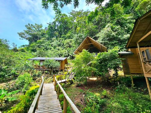 Κήπος έξω από το Hotel Piedra Piedra Lodge