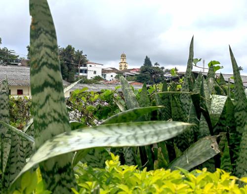 Un jardín fuera de Acogedora casa céntrica