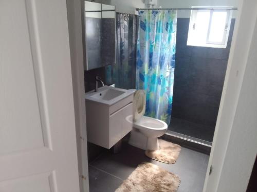 y baño con aseo, lavabo y ducha. en Jireh Homestay, en Willemstad