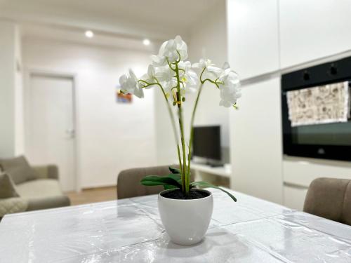 Best Rome Apartment photo 6