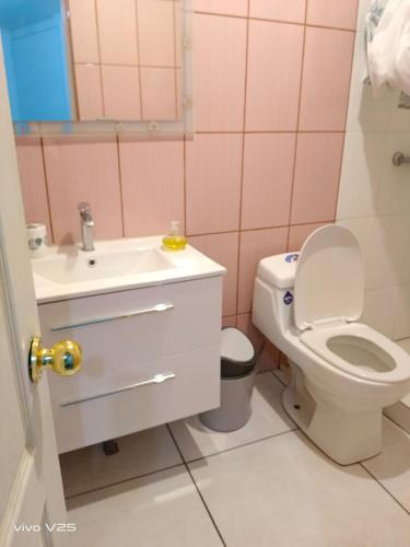 a pink bathroom with a toilet and a sink at DIAGUITAS, VICUÑA, VALLE DEL ELQUI in Diaguita