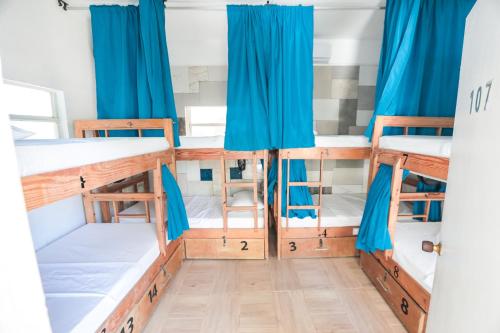 a group of bunk beds in a room with blue curtains at Hostal Palo Alto in San Andrés