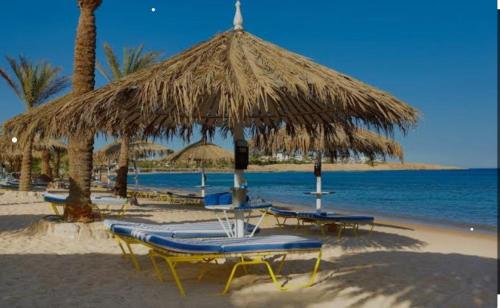 a beach with chairs and a large straw umbrella at Sharm dreams vacation club in Sharm El Sheikh