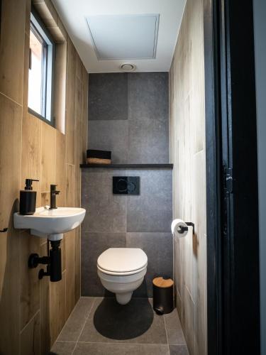 a bathroom with a toilet and a sink at B³/ 201 in Bertrix