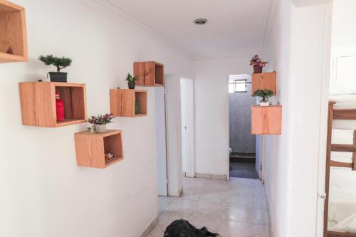 a hallway with wooden cabinets and plants on the wall at Hostal Palo Alto in San Andrés