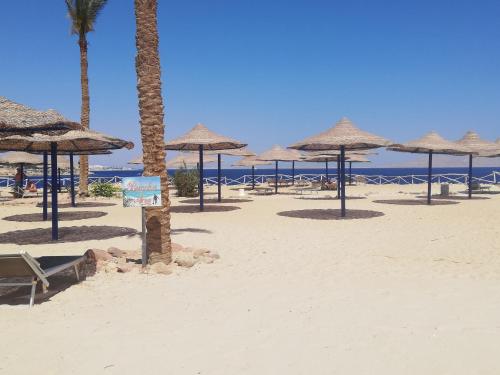 a beach with many straw umbrellas and palm trees at Chalet NEMO, vista mare, Sharks Bay, Sharm el Sheikh in Sharm El Sheikh