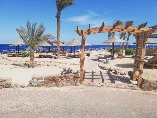 a beach with chairs and umbrellas and the ocean at Chalet NEMO, vista mare, Sharks Bay, Sharm el Sheikh in Sharm El Sheikh