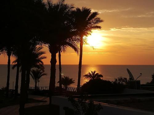 a sunset with palm trees in front of the ocean at Chalet NEMO, vista mare, Sharks Bay, Sharm el Sheikh in Sharm El Sheikh