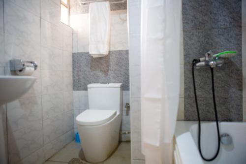 ROSES REGENCY HOTEL AND SUITES في أبوجا: حمام مع مرحاض ومغسلة ودش