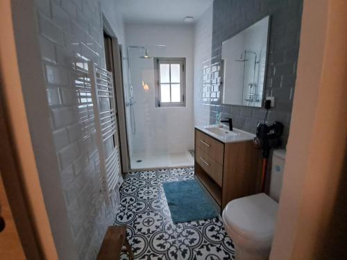 une salle de bain avec toilettes, lavabo et douche dans l'établissement Avignon pedestrian area, charming, 4 persons, à Avignon