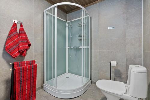 een badkamer met een toilet en een glazen douche bij Cozy Apartment close to Hovden alpine centre in Hovden