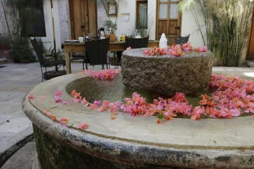 a fountain filled with pink flowers in a yard at Orchid House San Miguel de Allende in San Miguel de Allende