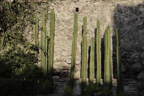 a wooden fence in front of a stone building at Orchid House San Miguel de Allende in San Miguel de Allende