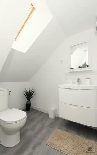 une salle de bain blanche avec des toilettes et un lavabo dans l'établissement La résidence Jeanne d'Arc 6, Troyes - France, à Troyes