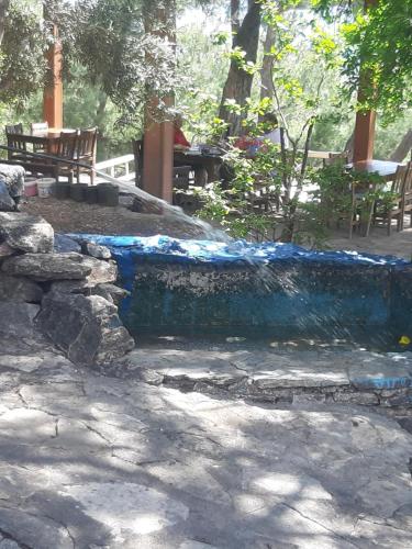 a pool of water in a yard with some benches at ida bay doğa evleri in Edremit