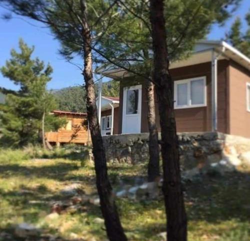 Fotografie z fotogalerie ubytování ida bay doğa evleri v destinaci Edremit