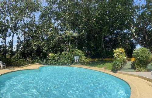 a large swimming pool in a yard with trees at Trapp Family Country Inn in San Antonio