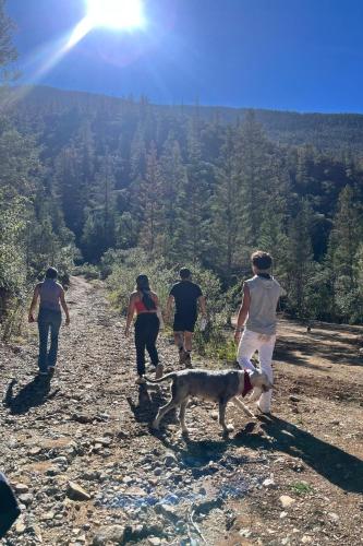 a group of people walking a dog on a mountain at Camping en la Sierra de Arteaga in Los Lirios