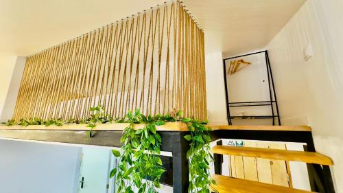 Fotografie z fotogalerie ubytování Cantinho das Pedras ve Funchalu