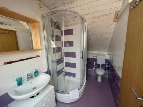a bathroom with a shower and a sink and a toilet at Holiday house with a swimming pool Puljane, Krka - 23038 in Drniš