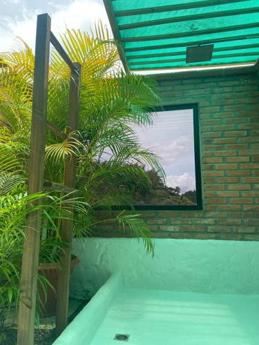 a room with a window and some plants at Glamping La Cepa GUATAPÉ in Guatapé