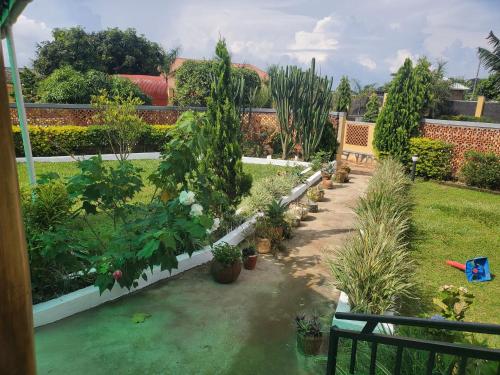 a garden with potted plants and a bench at Alice Gardens & Campsite in Entebbe