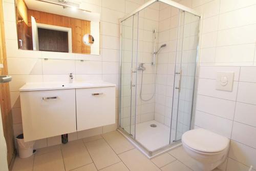 uma casa de banho com um chuveiro, um WC e um lavatório. em Möwe 104 em Mirow