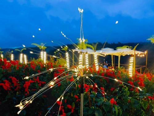 Κήπος έξω από το Việt Úc Flower Garden