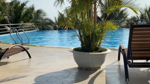 Kolam renang di atau dekat dengan Sealink Mui Ne 1BR Apartment - Sea View