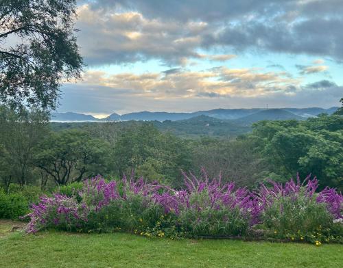 een uitzicht op een veld met paarse bloemen en bomen bij El Satélite in Cordoba