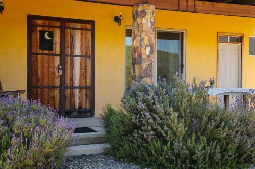a house with purple flowers in front of a door at Quinta Estrella in Valle de Guadalupe