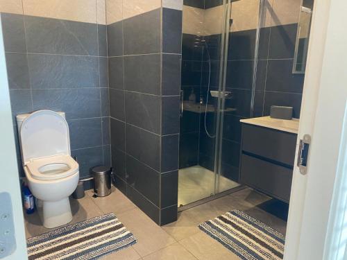 a bathroom with a toilet and a shower at Thornstown Gate Cottage in Portglenone