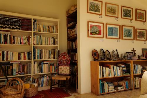 a living room filled with book shelves filled with books at Quinta Estrella in Valle de Guadalupe
