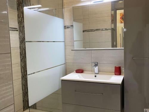 une salle de bain avec un lavabo et un miroir dans l'établissement Bel Appartement T1 avec Loggia à Balaruc-les-Bains - FR-1-553-254, à Balaruc-les-Bains
