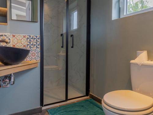 een badkamer met een douche, een toilet en een wastafel bij Gîte Montilliers, 3 pièces, 4 personnes - FR-1-622-80 in Vihiers