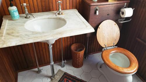 a bathroom with a wooden toilet and a sink at The Eleanor Davis House in Hannibal